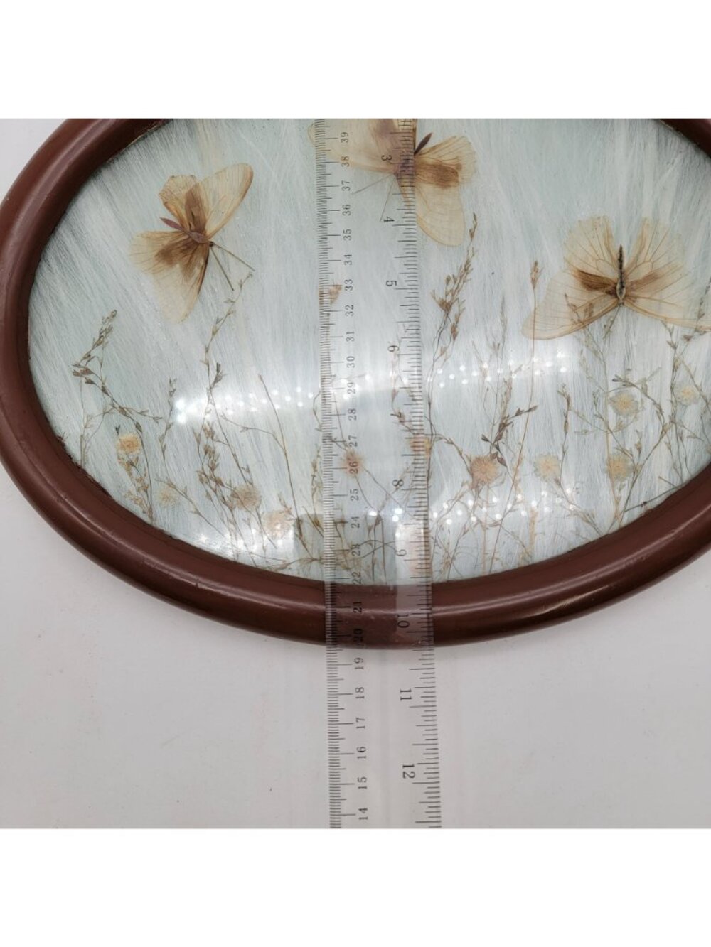 Antique Victorian Pressed Flowers & Butterflies Oval Wood Serving Tray w/ Glass - Picture 6 of 6
